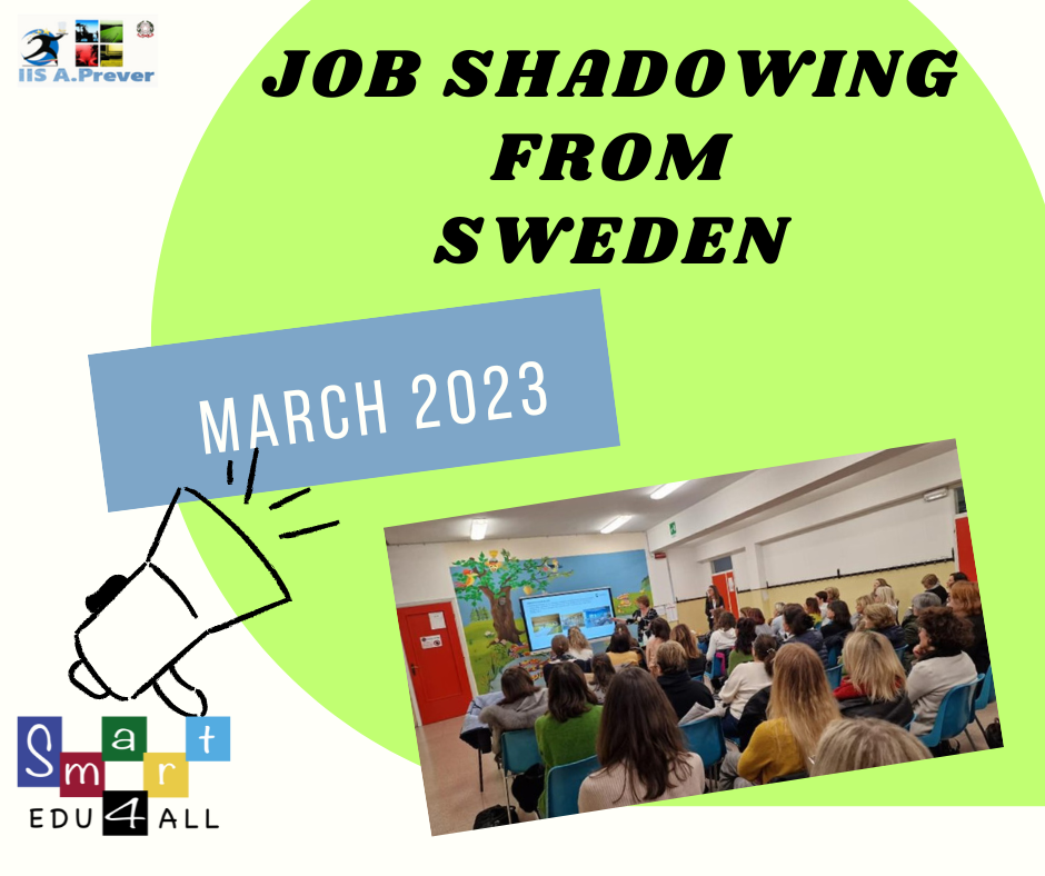 Job shadowing from Sweden