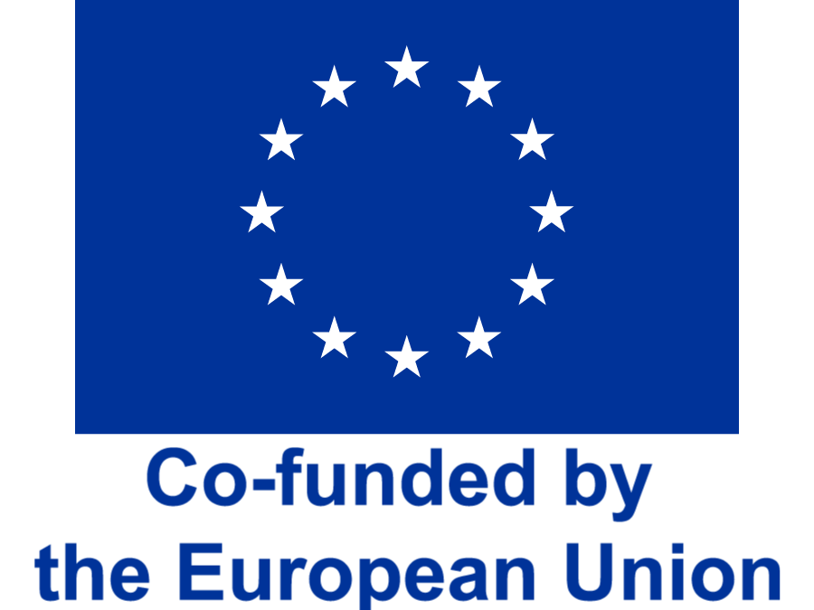 Logo Co-funded by the European Union